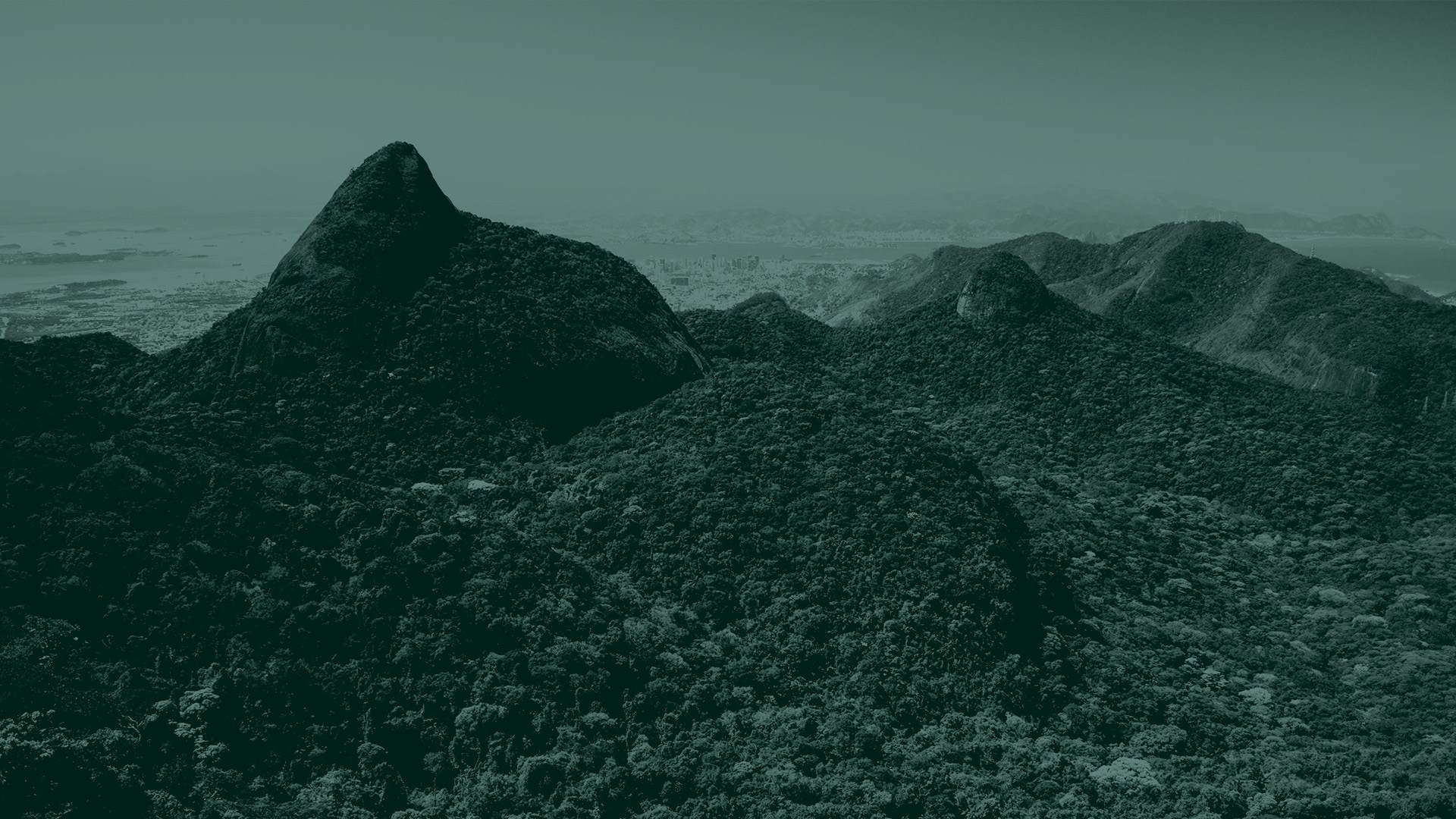 Green tone landscape image of trees on a mountain
