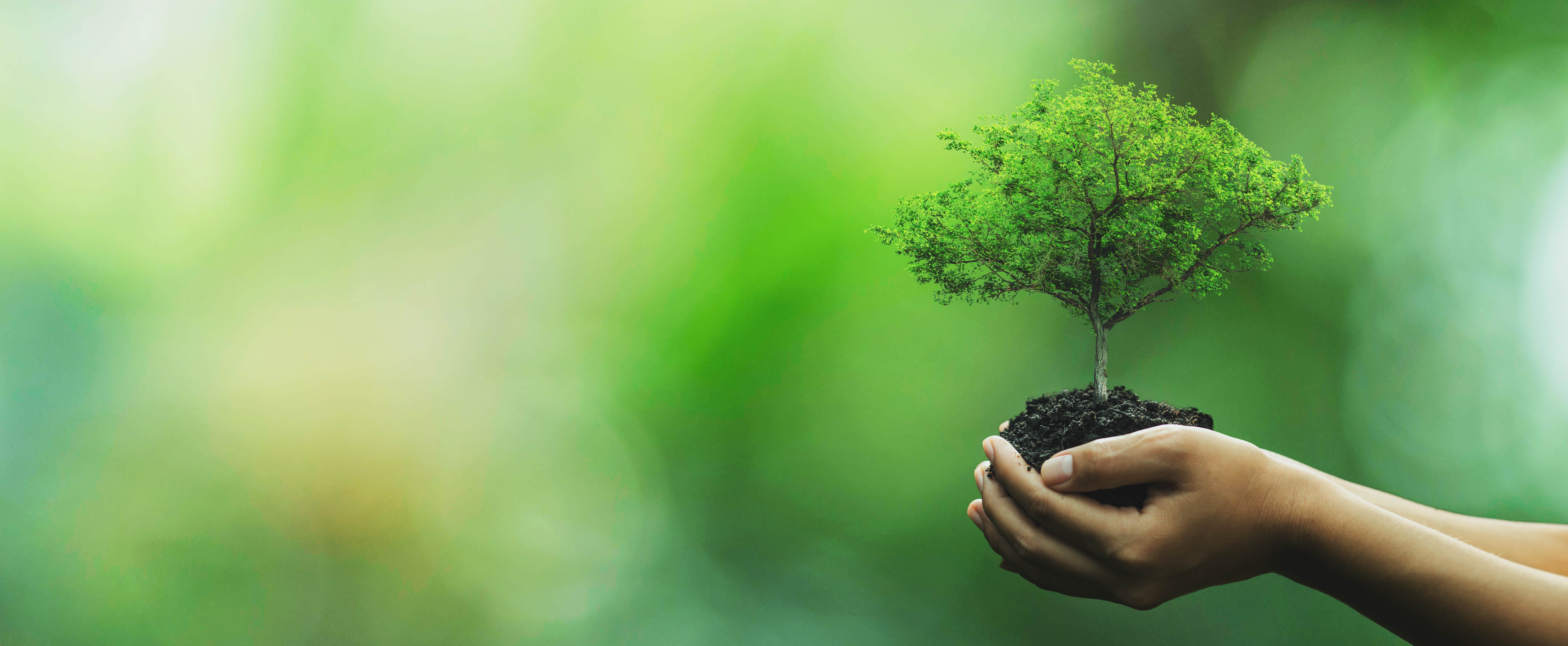 責任あるビジネス