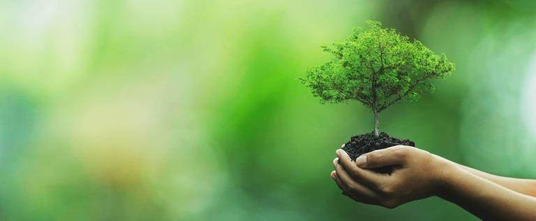 責任あるビジネス