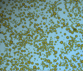 Microscopic image of HST sample of Atlox CS 200