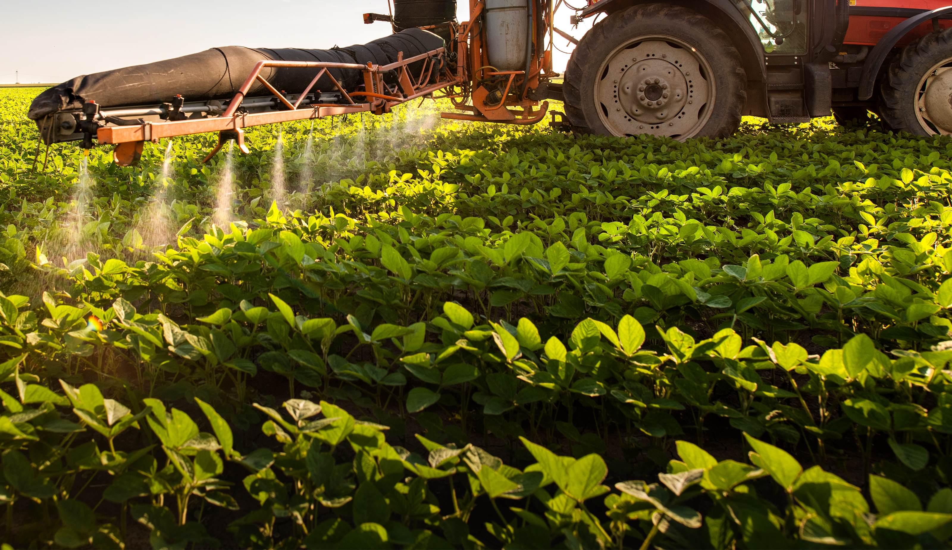 Tractor spraying pesticides on soybean field with sprayer