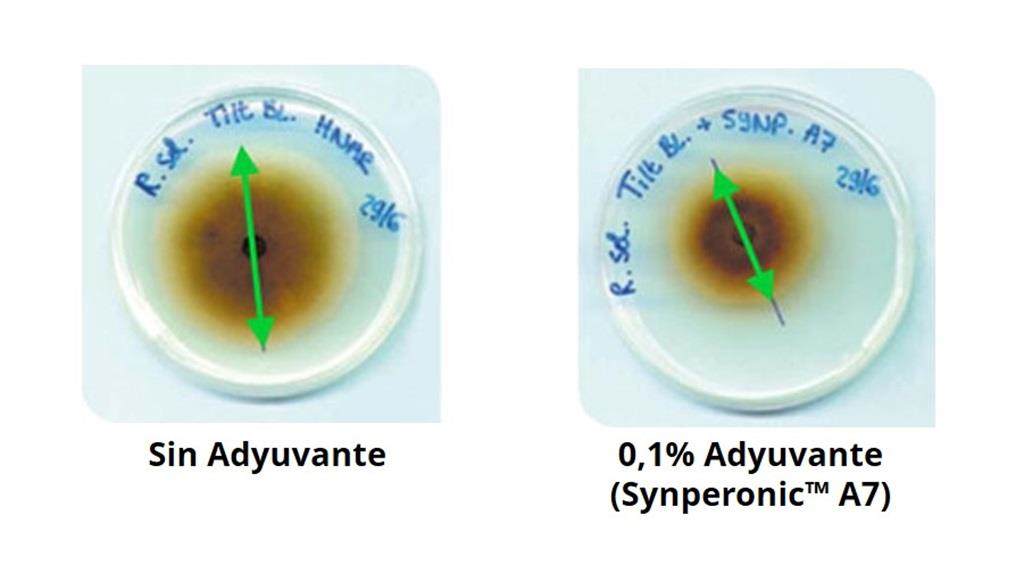 Synperonic A7 mostrando un mejor desempeño fungicida