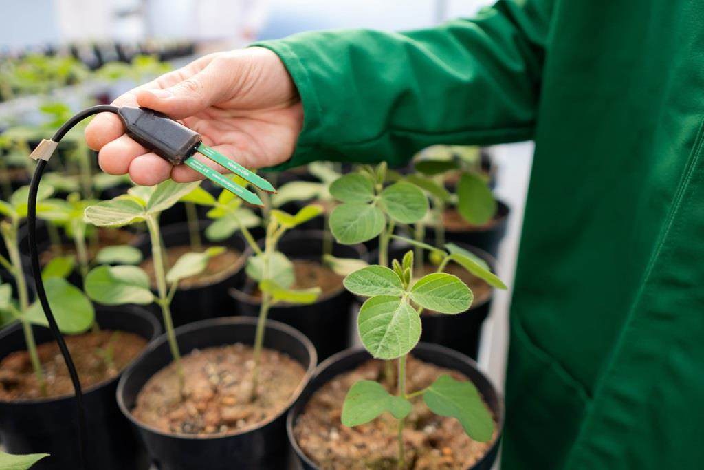 Digital sensors used in Croda's product validation centre