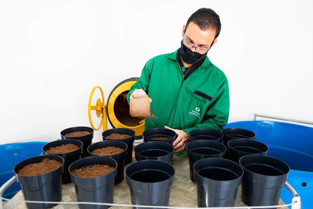 植物成長培地の調製