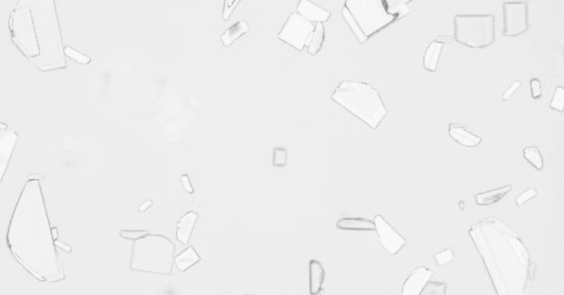 Microscope image of crystal growth in SC formulation development in black and white