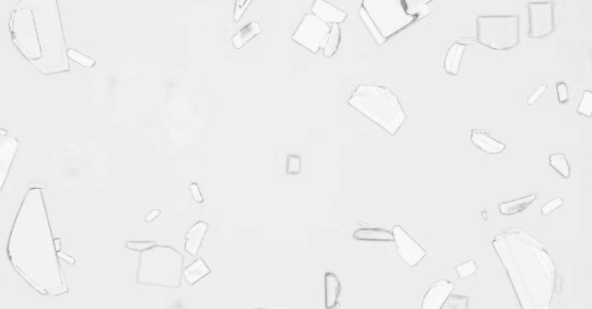 Microscope image of crystal growth in SC formulation development in black and white