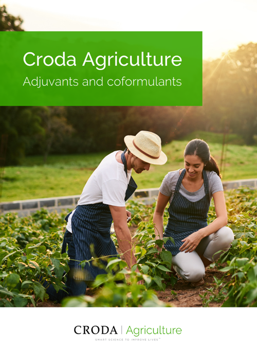 Farmer helping another farmer with crops