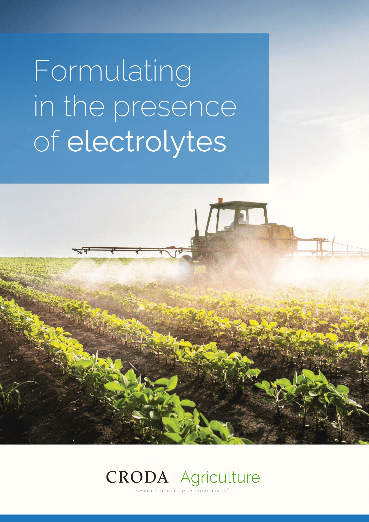 Cover image of brochure Formulating in the presence of electrolytes