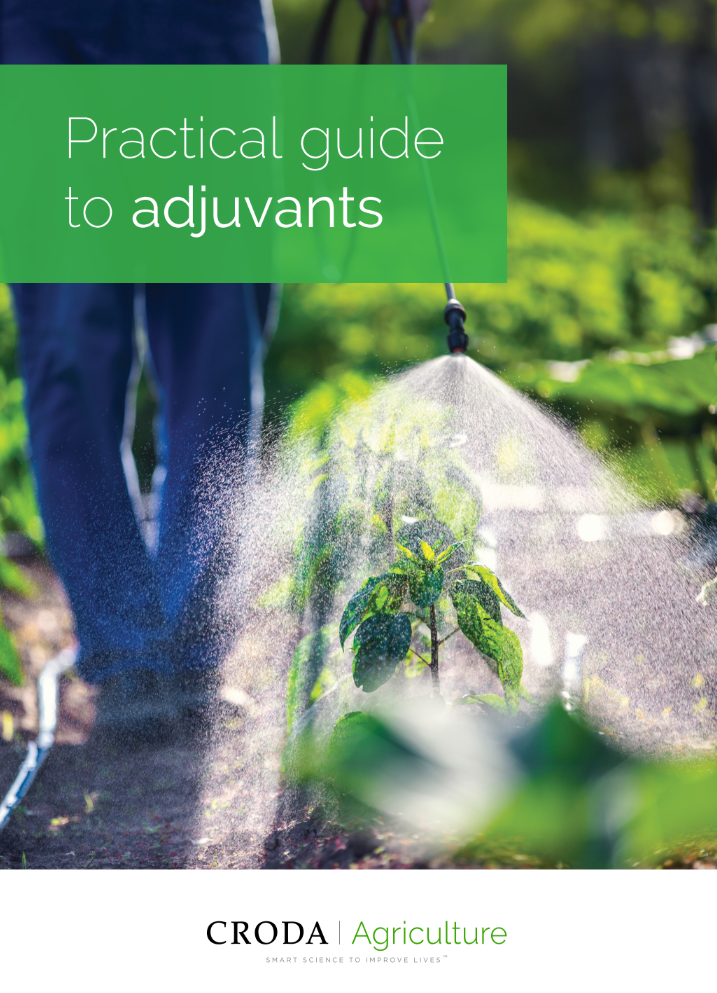 Farmer spraying vegetable green plants in the garden with herbicides, pesticides or insecticides