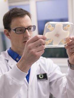 Formulación de productos biológicos