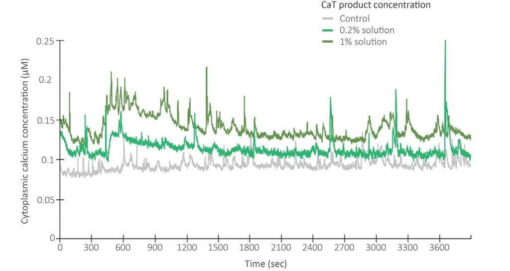 Graph depicting that the application of Veritas increased the cytoplasmic calcium concentration relative to the control