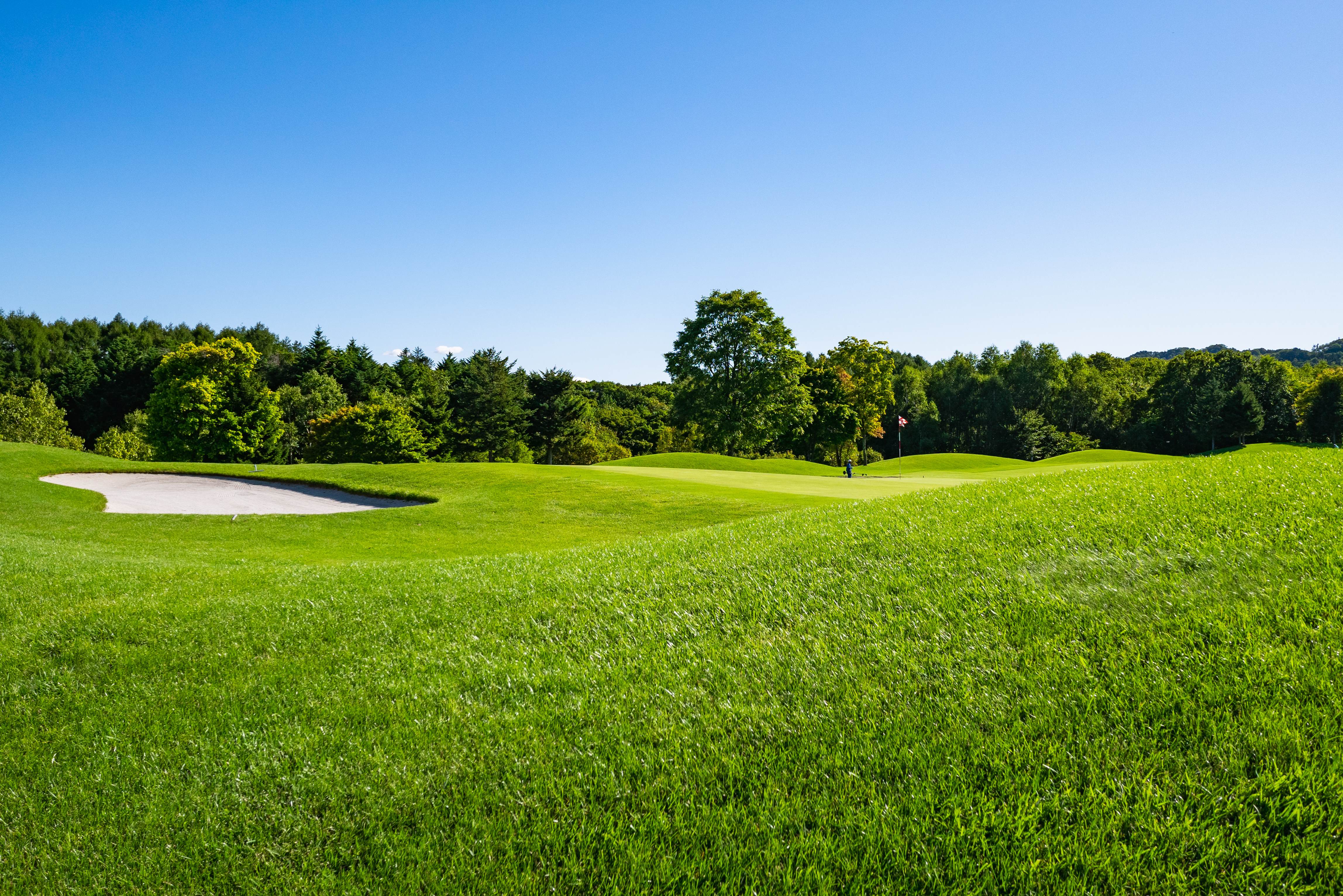 Panorama View of Golf Course with beautiful putting green