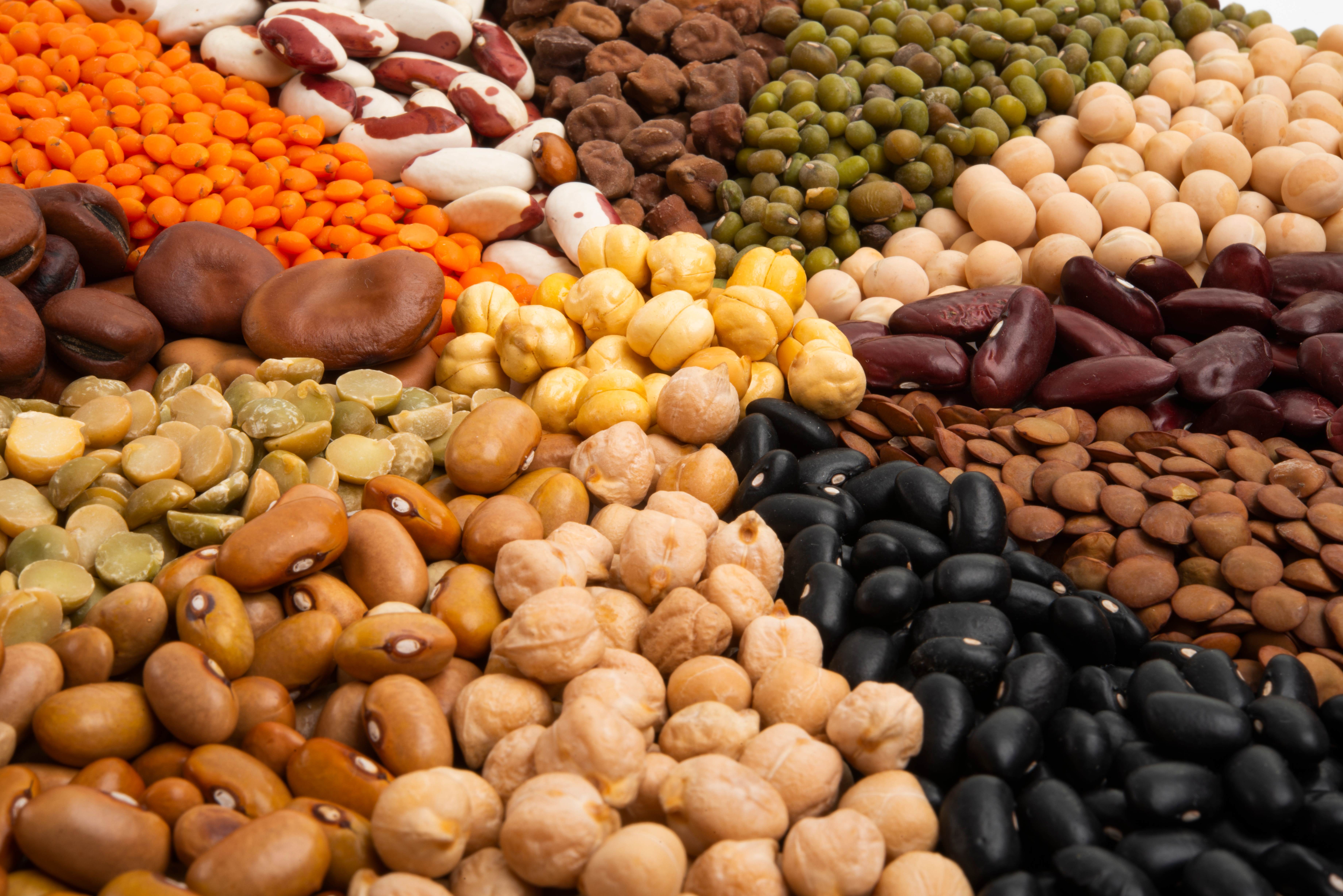 bean set isolated on white background