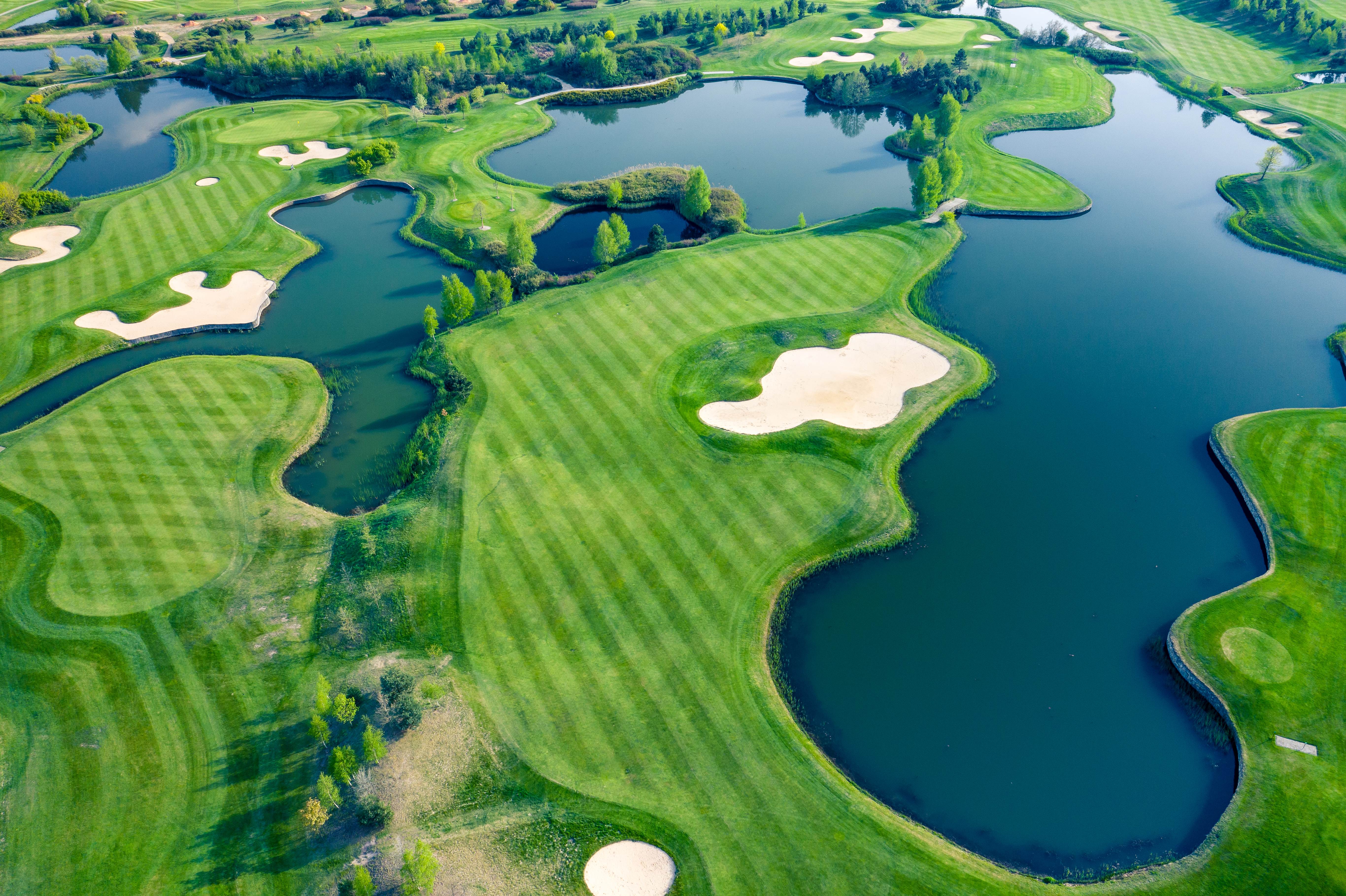 Aerial view of green grass and trees on a golf field