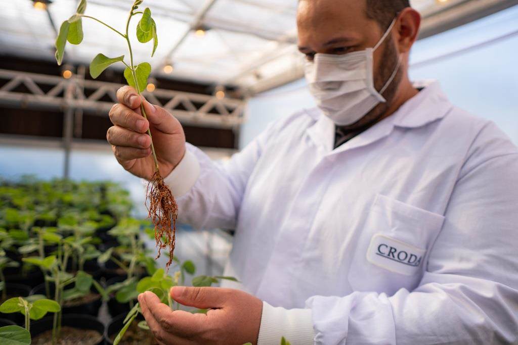 Agronomist holding seedling in hand in greenhouse