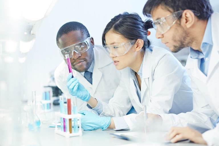 Pessoas que olham para uma formulação