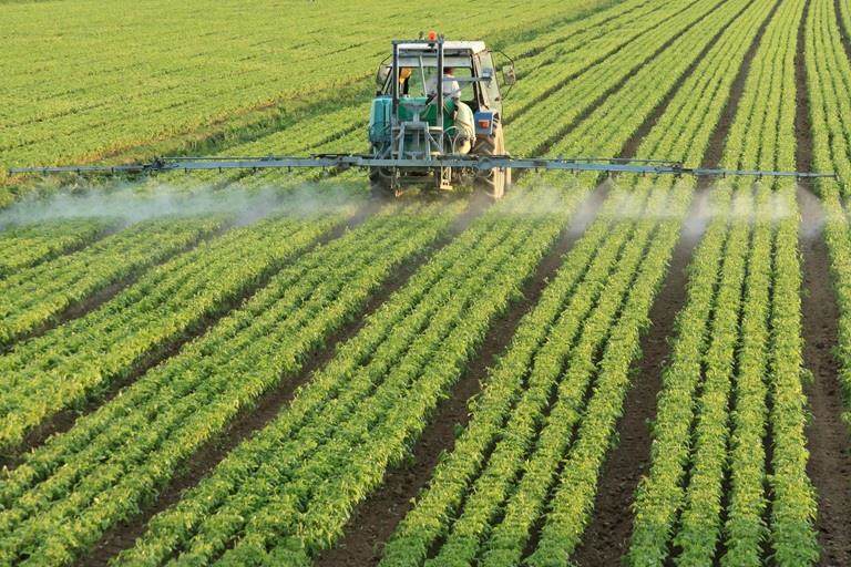 Tractor spraying in field